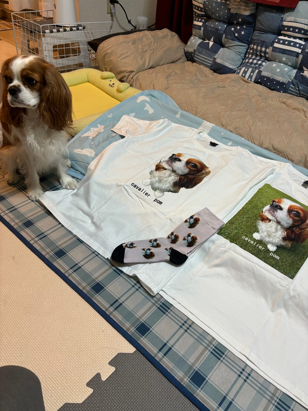 Customer photo review of 好きな写真と文字で作るオリジナルプリントTシャツ
