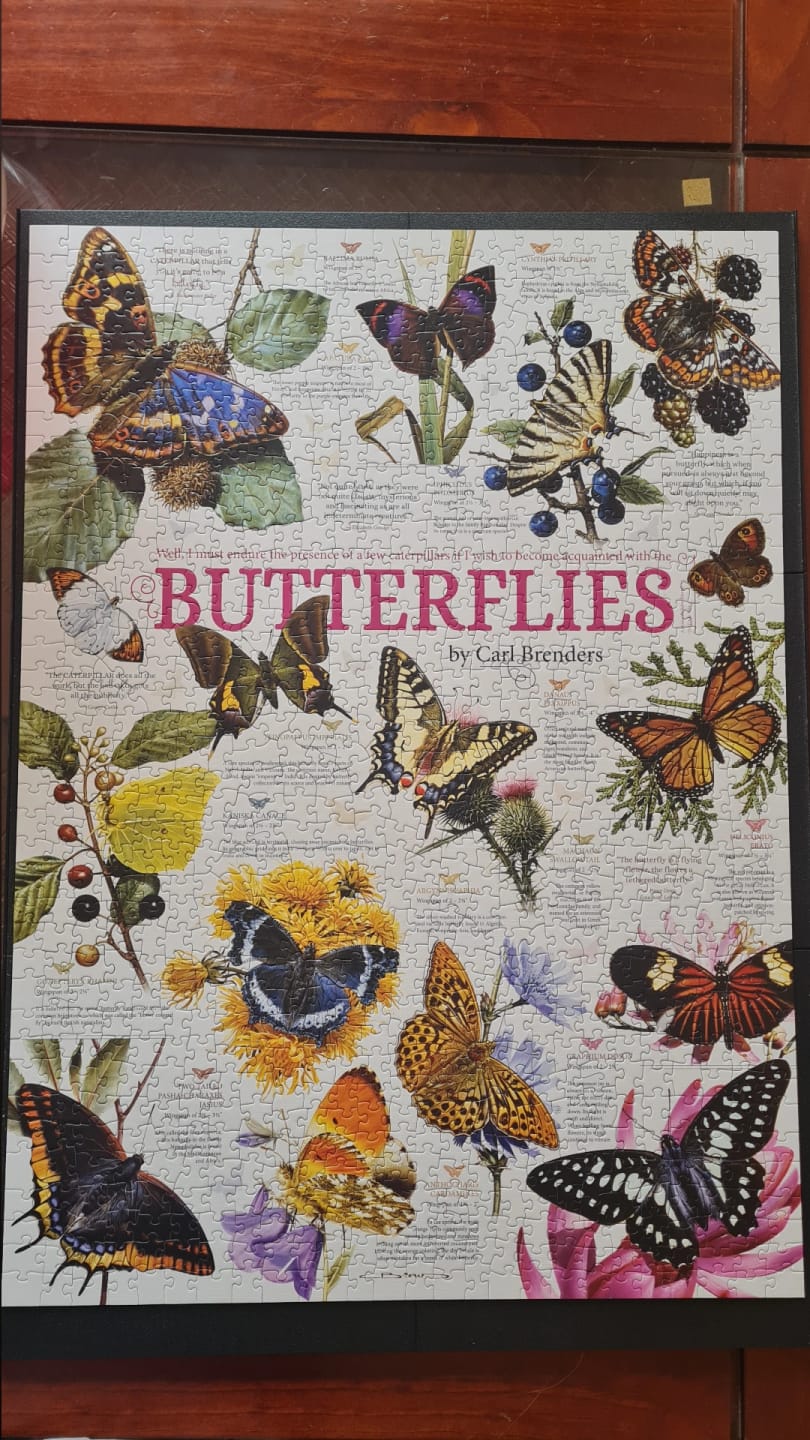 Customer photo review of Puzzle 1000 Piezas - Comic DoodleTown: Colección de mariposas