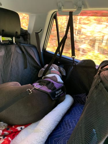 Customer photo review of NEW Waterproof Hard Bottom Car & Truck Seat Foldable Hammock Cover With Storage Pockets, Side Flaps, Headrest Straps, Seat Anchors, & Mesh Window (+FREE SAFETY BELT!)