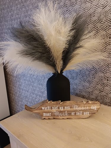 Customer photo review of Faux Pampas 60cm (5stengels) - Beige