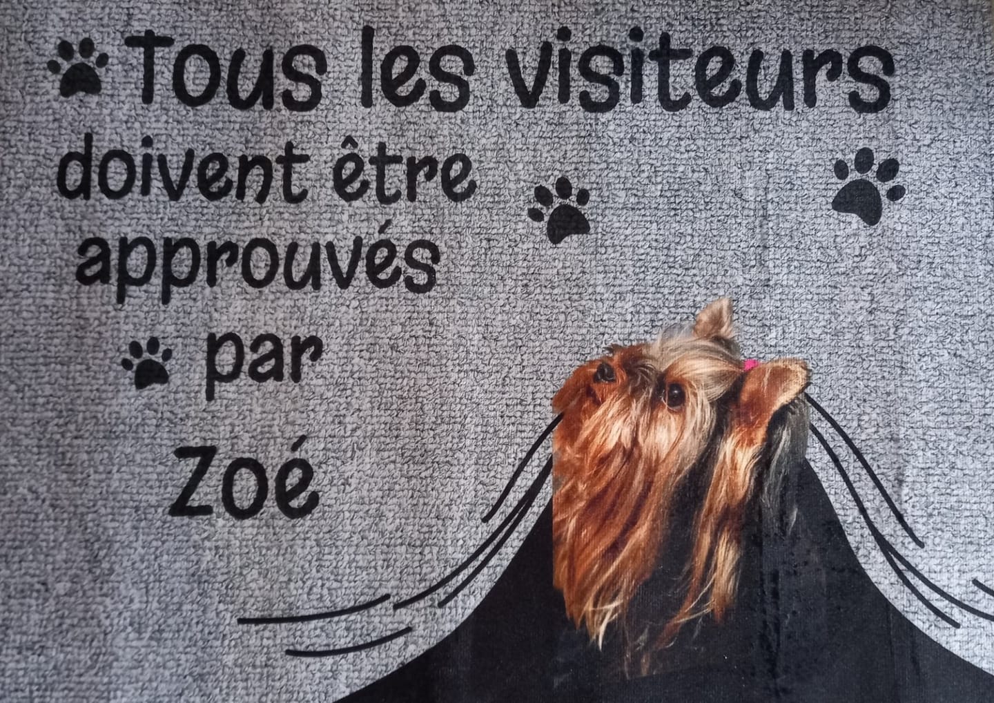 Customer photo review of Visiteur approuvé - Paillasson personnalisé