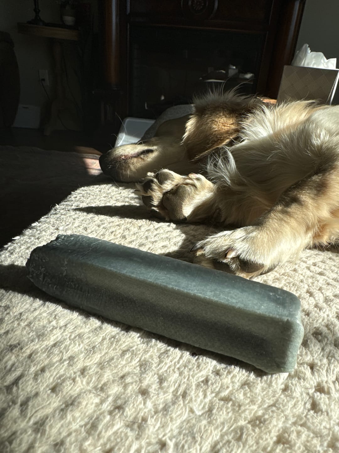 Customer photo review of Blueberry Himalayan Yak Chew (MEDIUM)