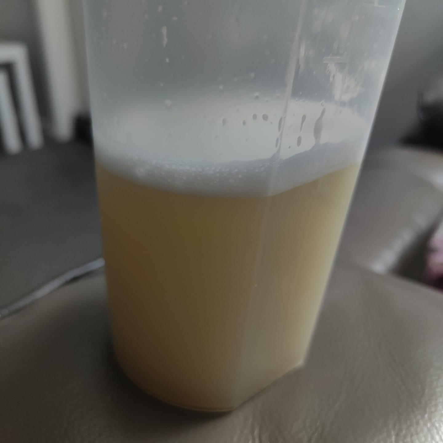 Customer photo review of Grass Fed Whey Protein Powder Pro
