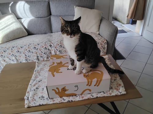 Avis photo d'un client sur Croquettes Chat Stérilisé Sans Céréales - Poulet
