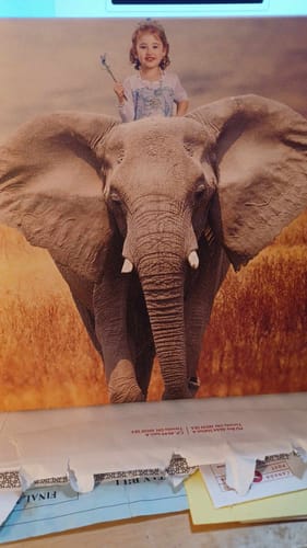 Customer photo review of On the Elephant