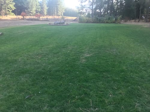 Customer photo review of Cool Season Lawn Care Guide and Cool Season Renovation Guide Combo