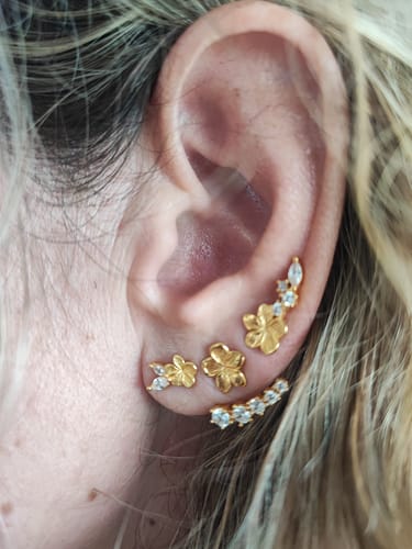 Customer photo review of Boucles d'oreilles grimpantes Suzanne