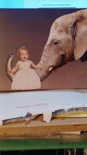 Customer photo review of Elephant Trunk