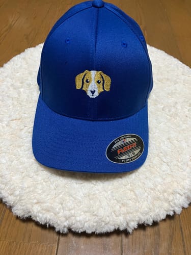 Customer photo review of Baseball Dog Flex Fit Hat
