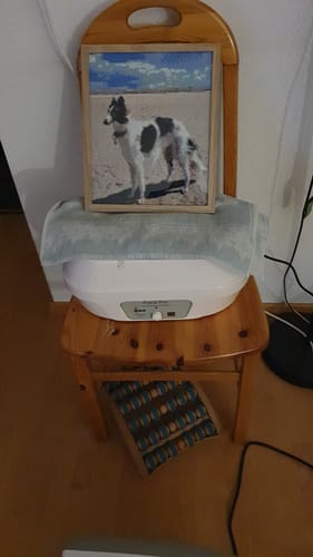 Kundenbewertung mit Foto zu Diamond Painting eigenes Bild