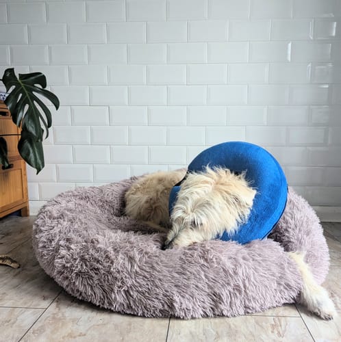 Customer photo review of Super Plush Donut Bed