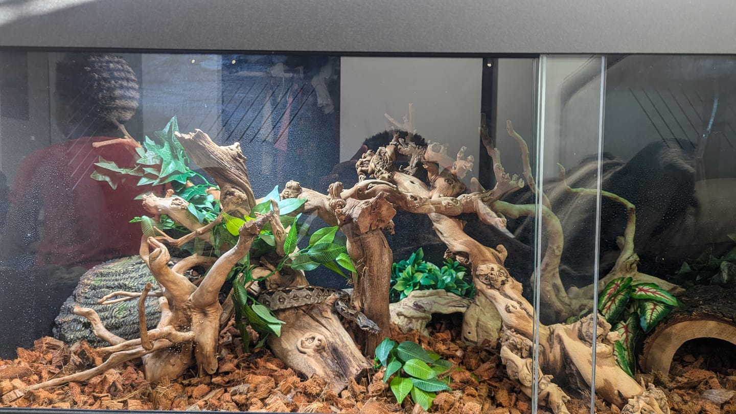 Customer photo review of 60"x24"x24" / 5'x2'x2' Premium PVC Reptile Enclosure