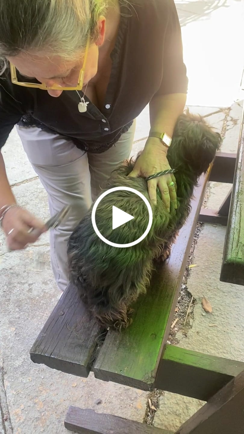 Customer video review of Cepillo Cortador de Nudos de Pelo para Mascotas Milgenial