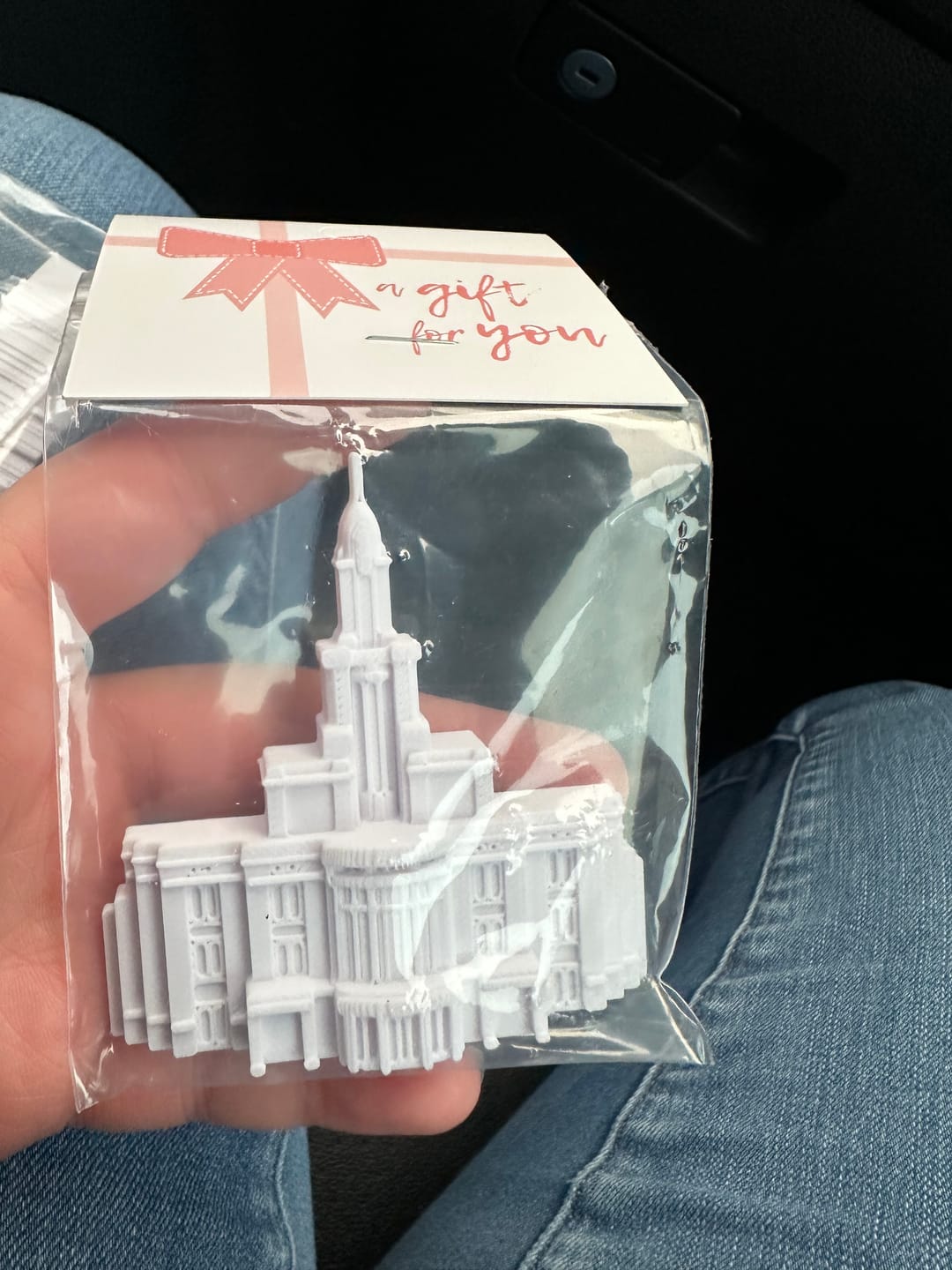 Customer photo review of 5 Temple Magnets - Gift Ready