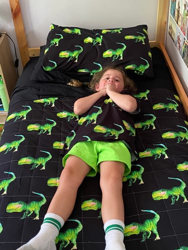 Customer photo review of Smiling Dinosaur Quilt