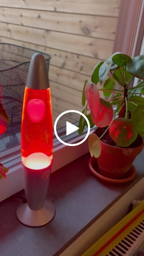 Customer video review of Lavalampa - Orginal