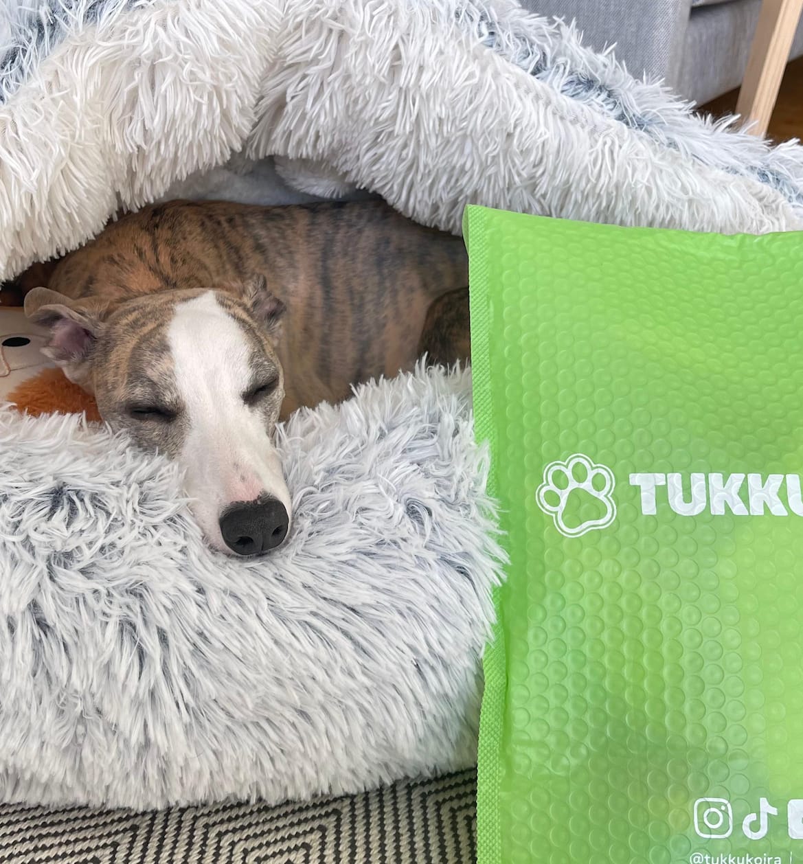 Customer photo review of CozyCave™ Suojaisa peti lemmikeille