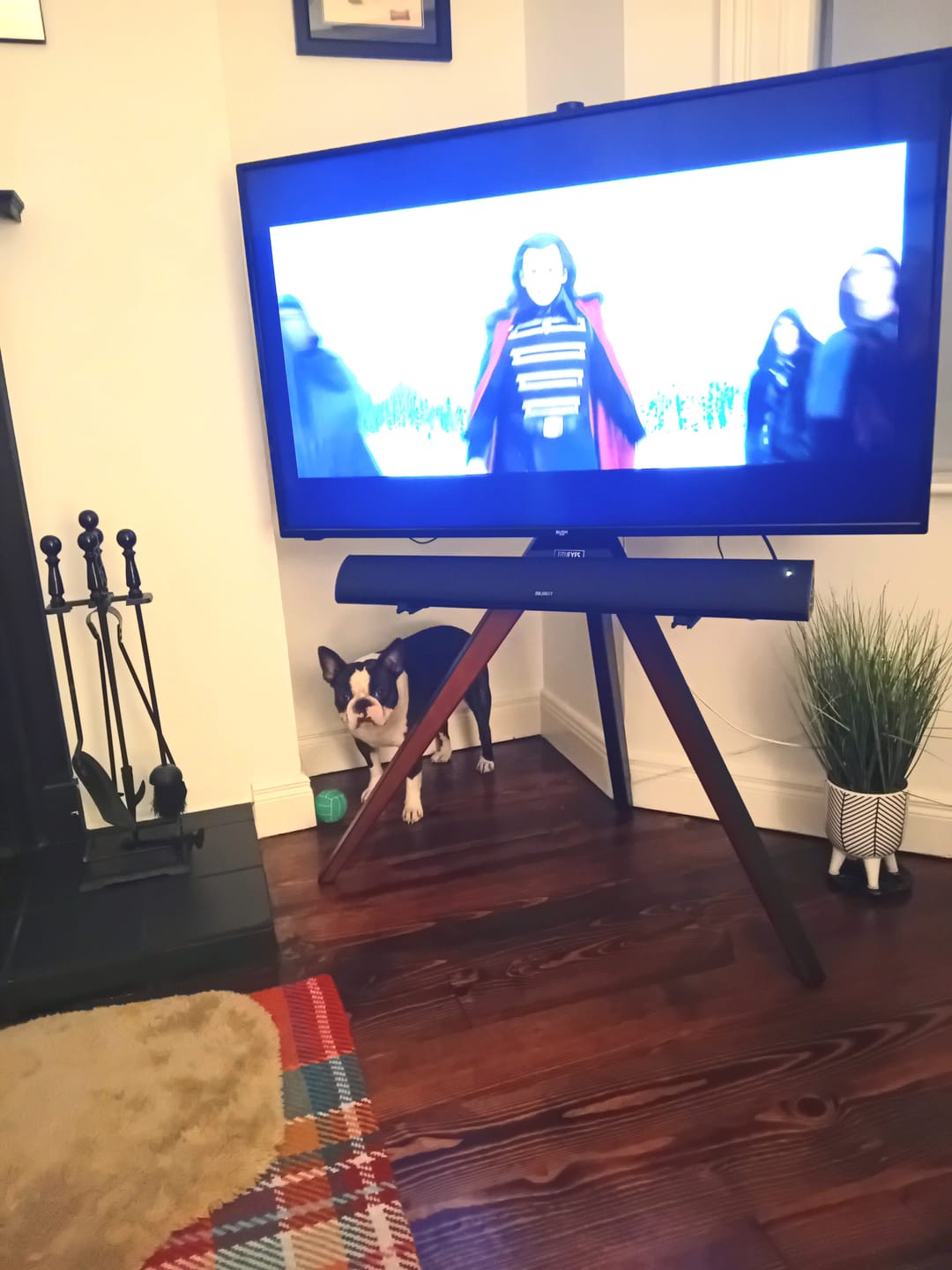 Customer photo review of Floor TV Stand Picasso Series 37-65 Inch