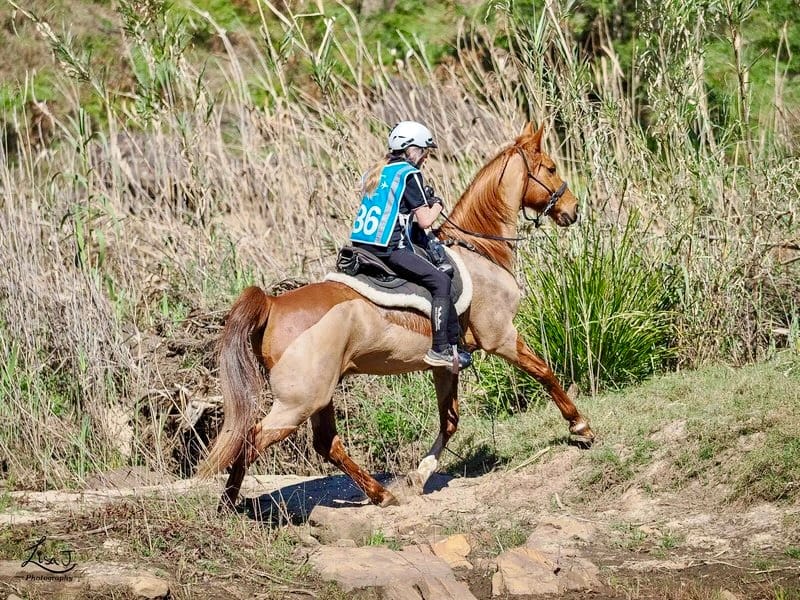 Customer photo review of Daily Balance