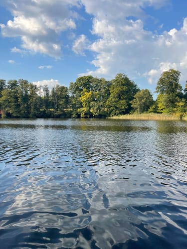 Customer photo review of Rabattaktion Gesund im Alter Magazin - VitalungExtra - Mit Cordyceps aus der TCM und wertvollen Vitaminen - 4er Sortierung