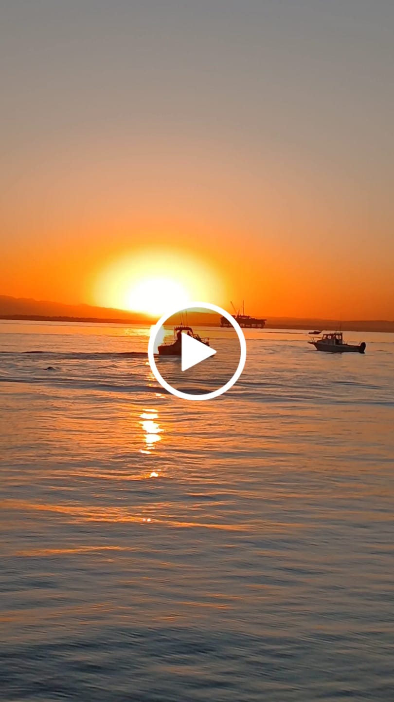 Customer video review of Braided Fishing Line - 300 Yards, Pro Grade Performance for Saltwater & Freshwater- Beyond Braid
