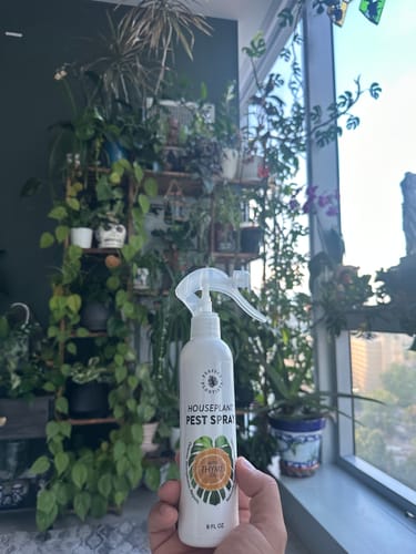 Customer photo review of Houseplant Pest Spray