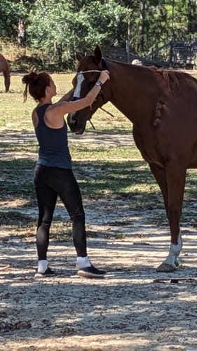 Customer photo review of Lily multi bridle