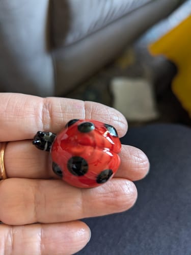 Customer photo review of Ladybug Figurine with Cremains