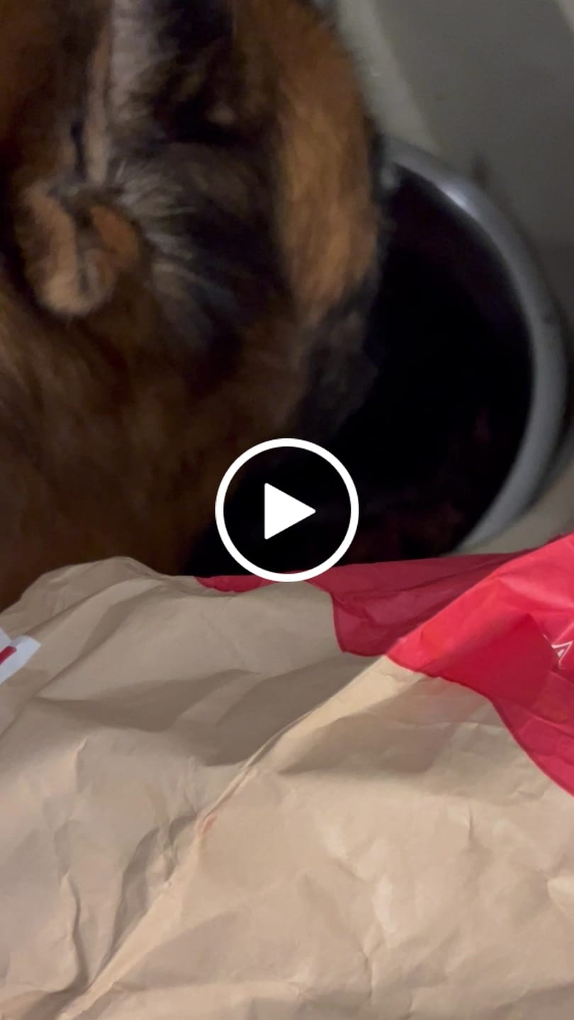 Customer video review of English Duck Dry Food