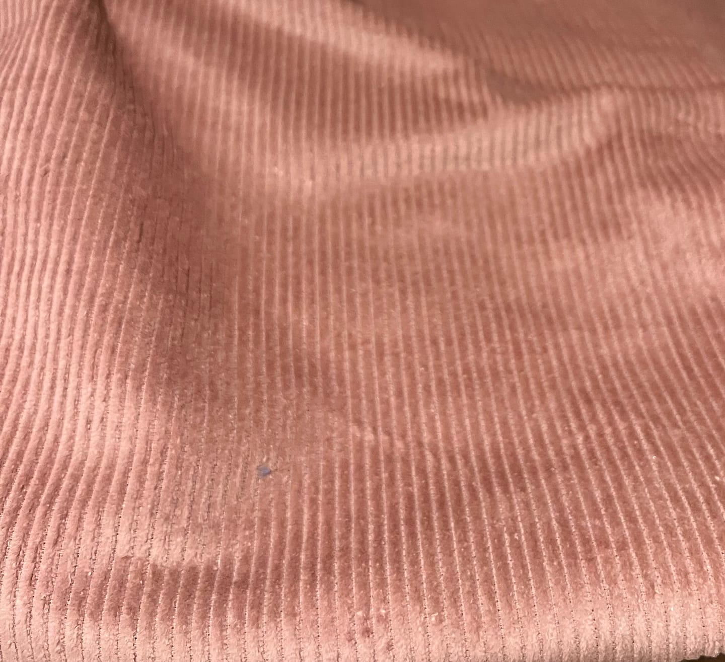 Customer photo review of Premium 100% Cotton Corduroy - 8 Wale - 60" Wide - Variations Available