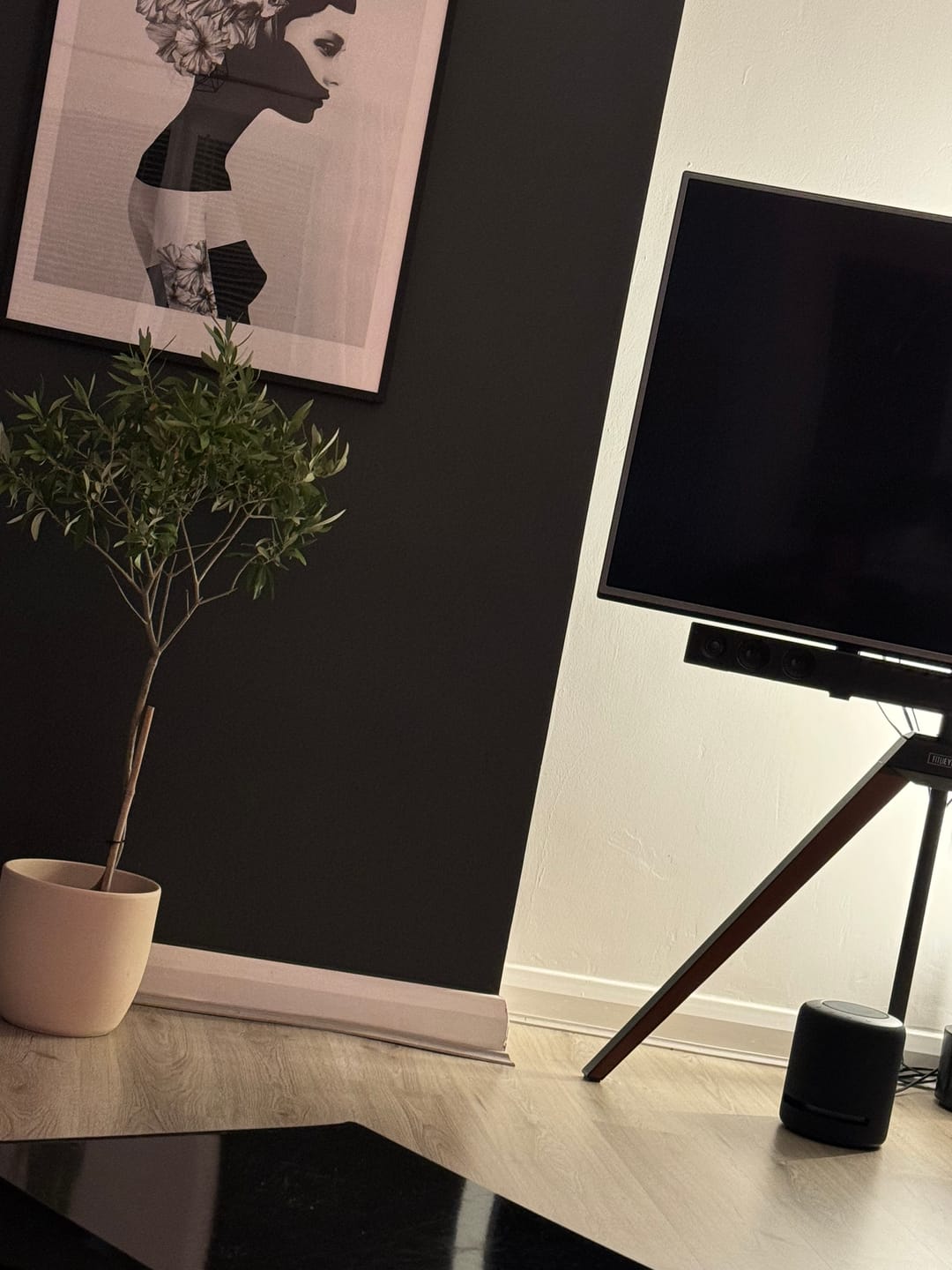 Customer photo review of Floor TV Stand Picasso Series 37-65 Inch