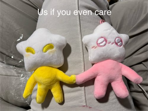 Customer photo review of Adopt a Star Baby Plush Blind Box