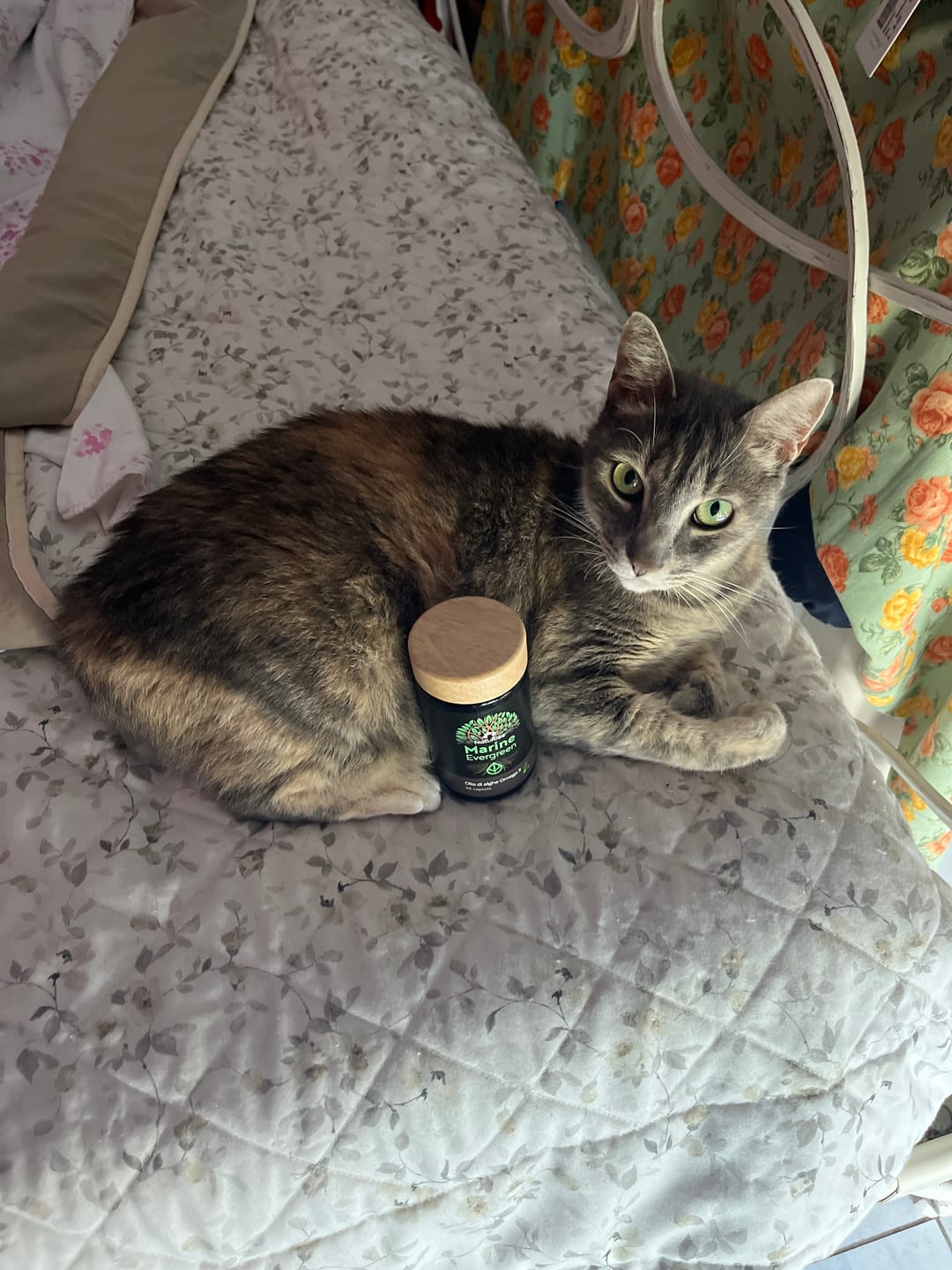 Customer photo review of Olio di alghe Omega 3 (60 capsule)