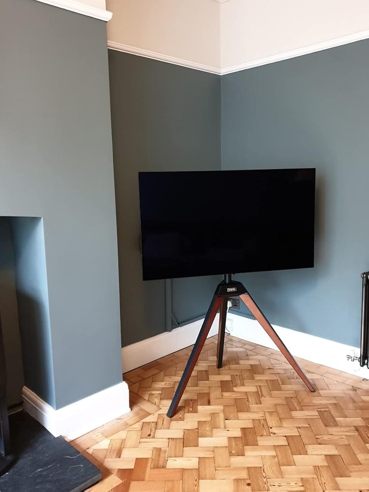 Customer photo review of Floor TV Stand Picasso Series 37-65 Inch