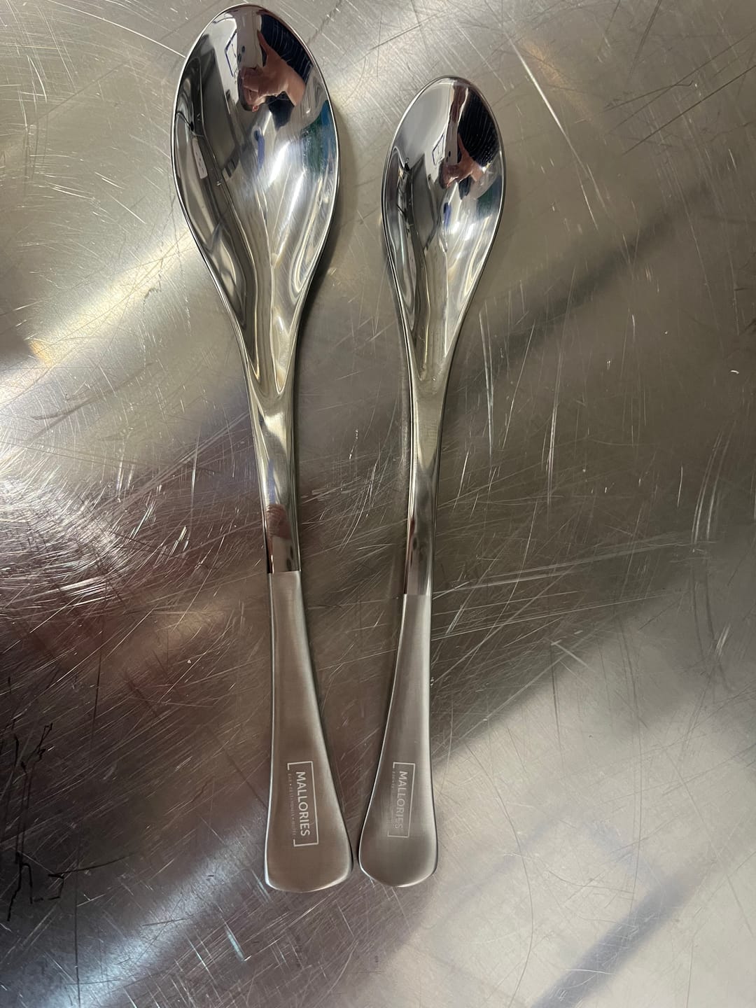 Customer photo review of SignatureSpoon Duo