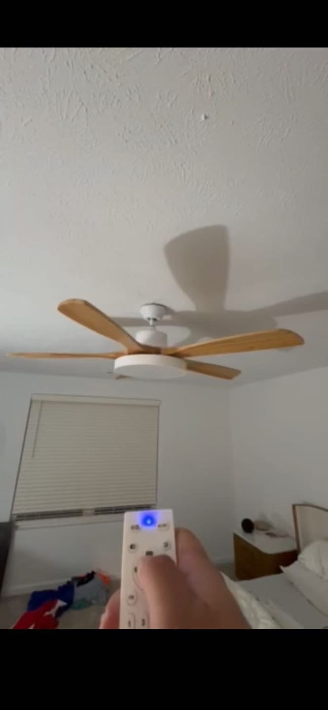 Customer photo review of WOMO Scandi Reversible Ceiling Fan with Light-WM5002