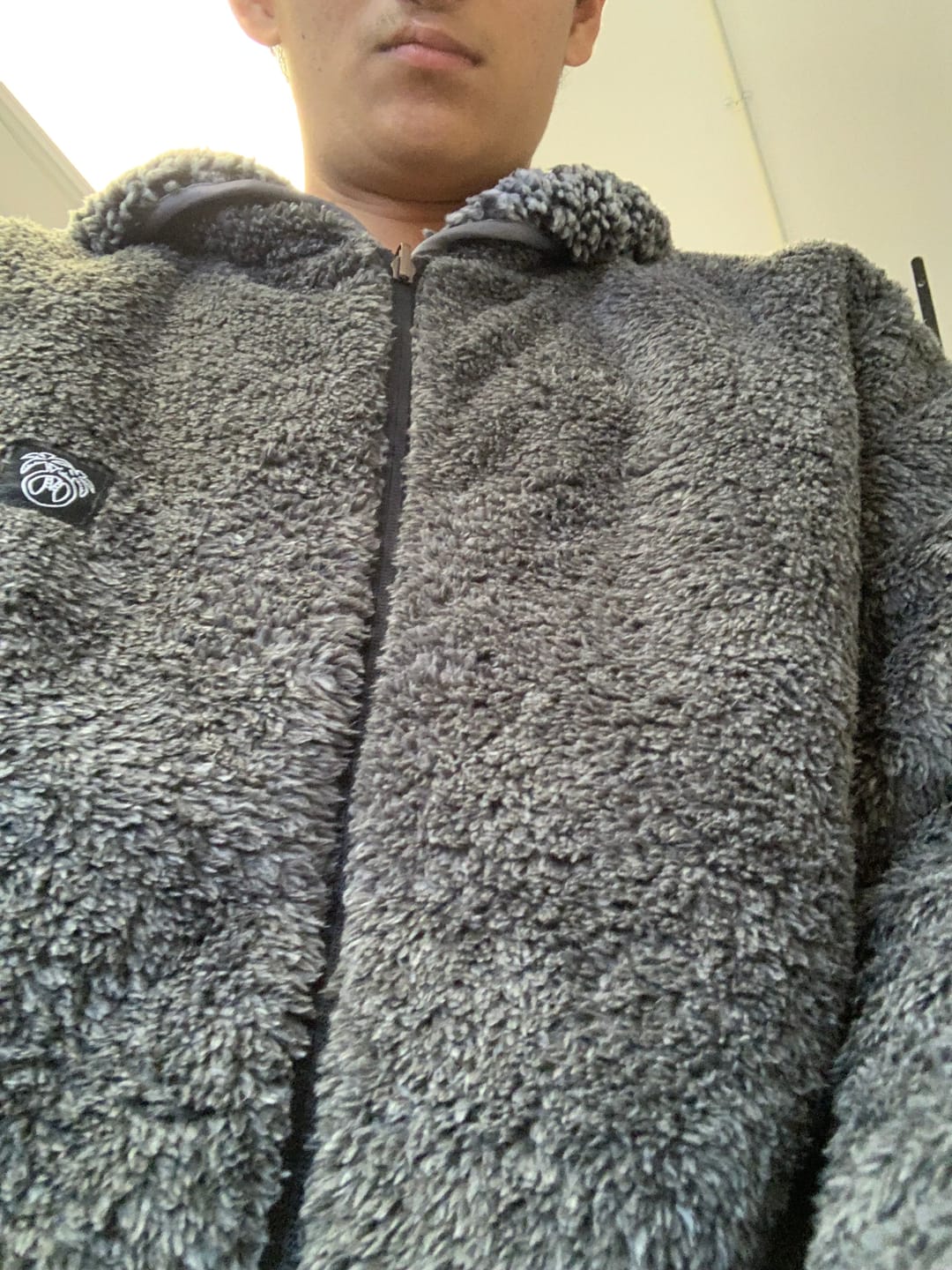 Customer photo review of Reversible Sherpa Full Zip Hoodie
