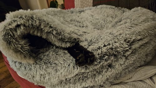 Customer photo review of Super Plush Cove Bed