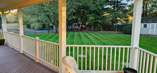 Customer photo review of GCI Turf Type Tall fescue Grass Seed