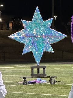 Customer photo review of Lilac Transparent Big Dot Large Paillette Sequin on Mesh Fabric