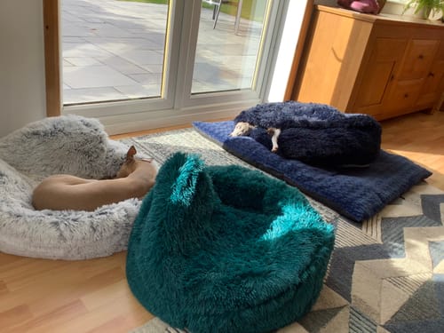 Customer photo review of Super Plush Cove Bed