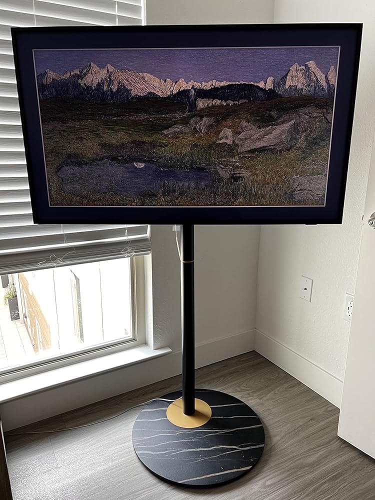 Customer photo review of Floor TV Stand Master Series 32-60 Inch