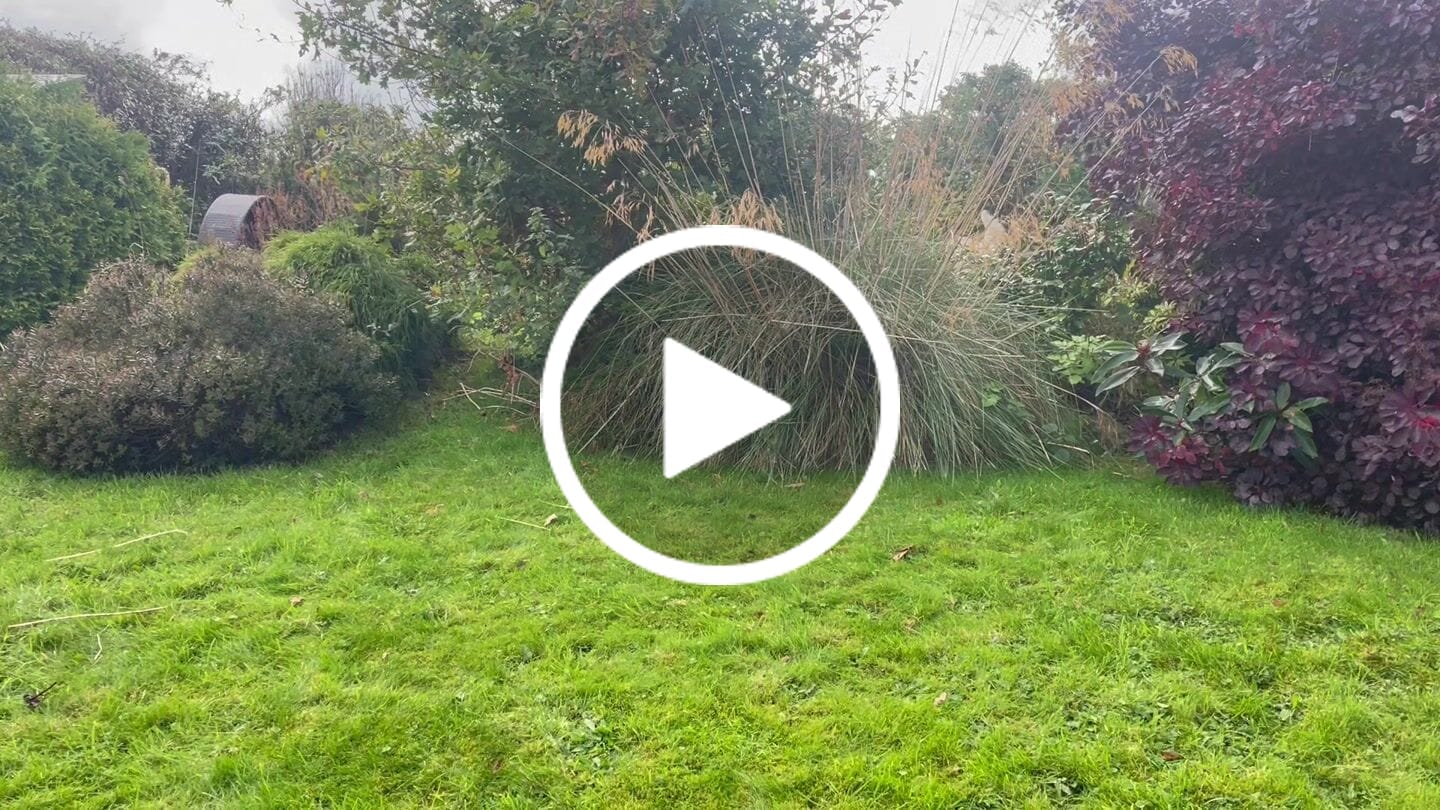 Customer video review of MultiProtein Dry Puppy Food