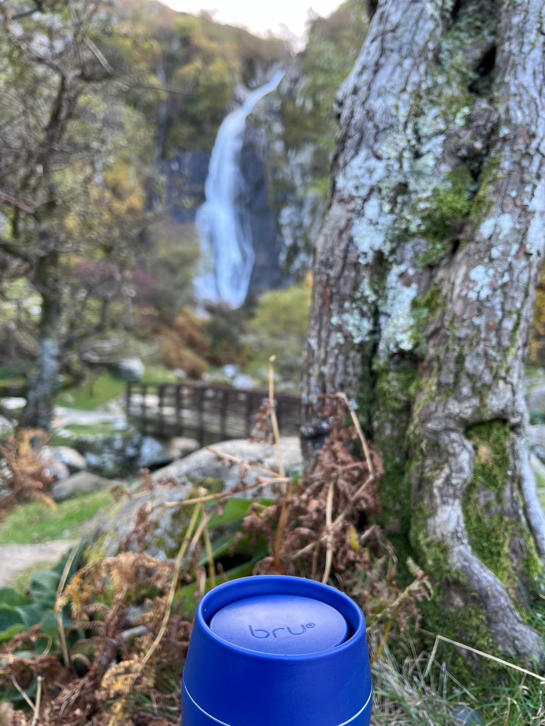 Customer photo review of bru Ceramic Travel Mug