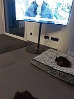 Customer photo review of Floor TV Stand Master Series 32-60 Inch