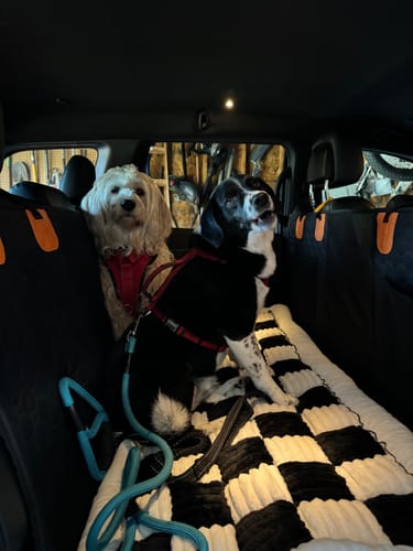 Customer photo review of Shipping Protection