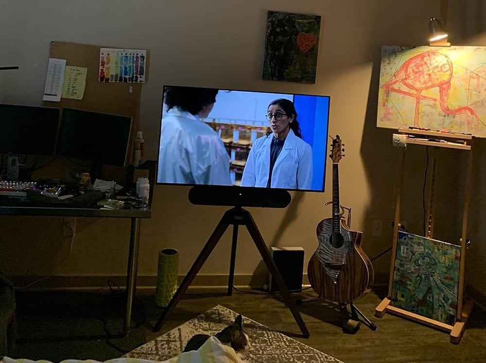 Customer photo review of Floor TV Stand Picasso Series 37-65 Inch