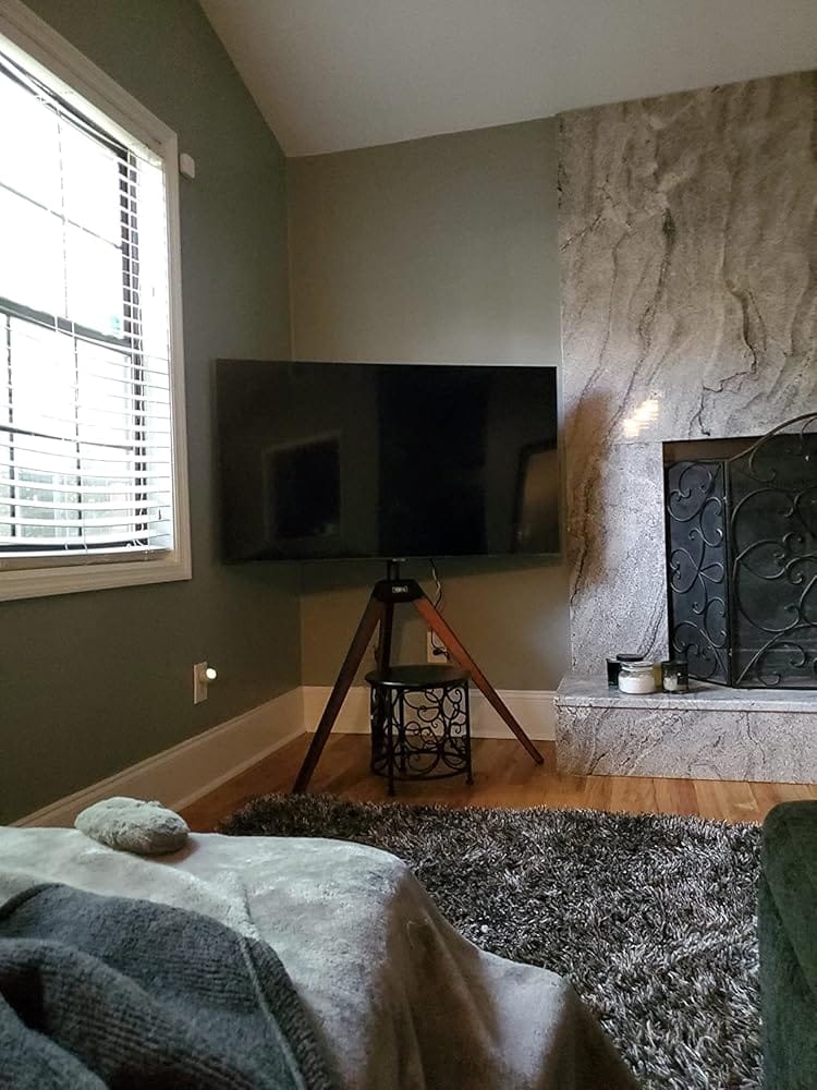Customer photo review of Floor TV Stand Picasso Series 37-65 Inch