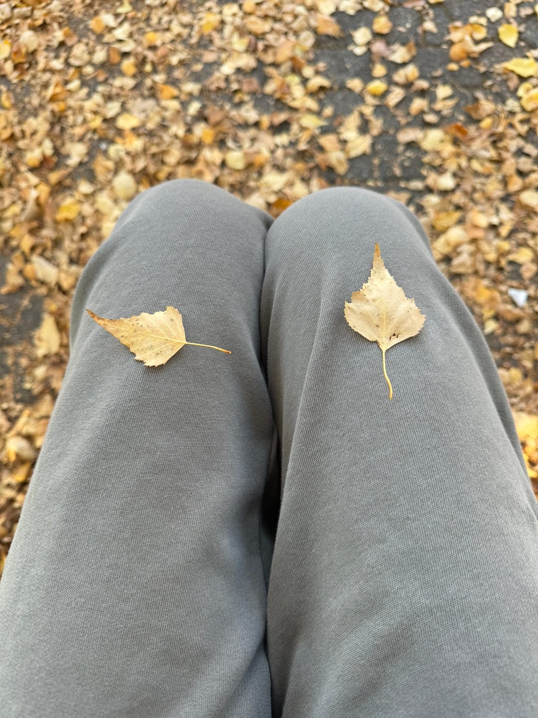Customer photo review of Dune Crop Pant