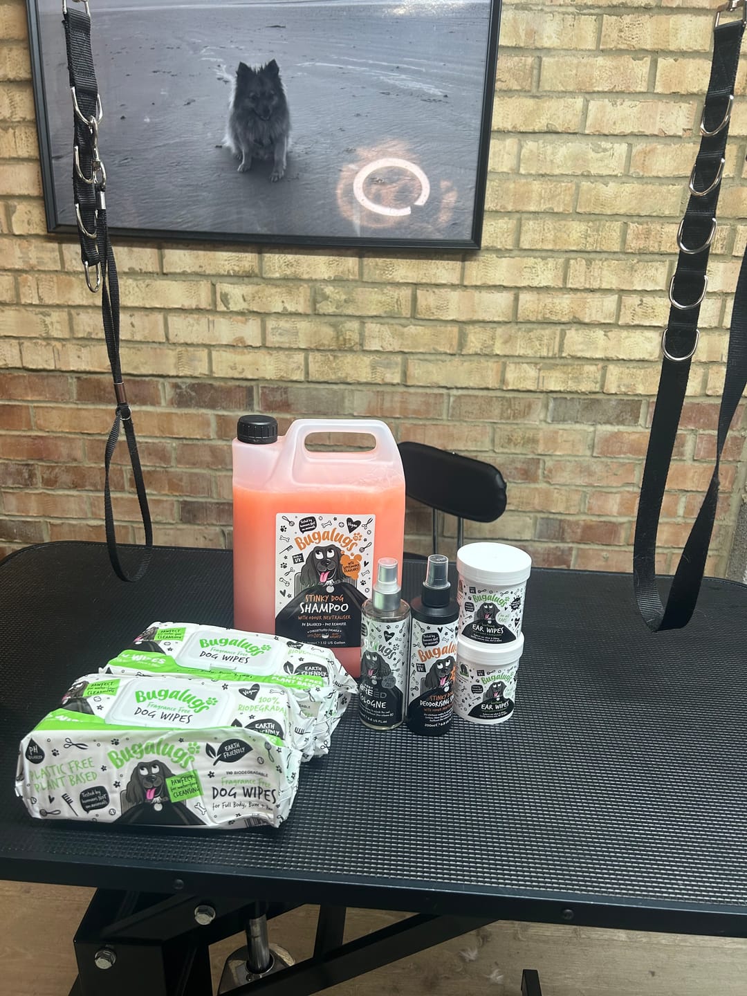 Customer photo review of Stinky Dog Deodorising Spray with Odour Neutraliser